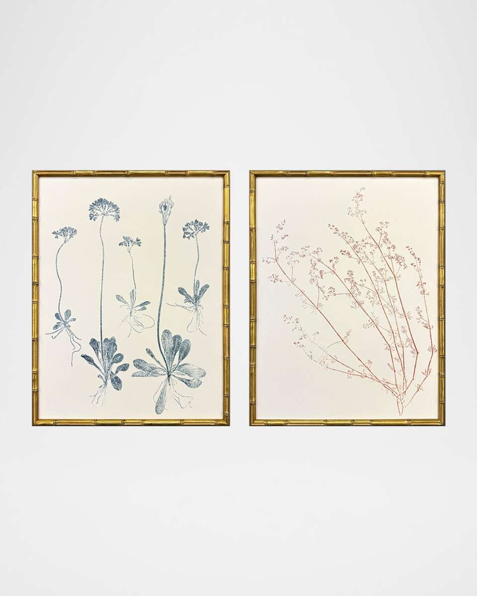 "Floral Trace III" Framed Giclees, Set of 2